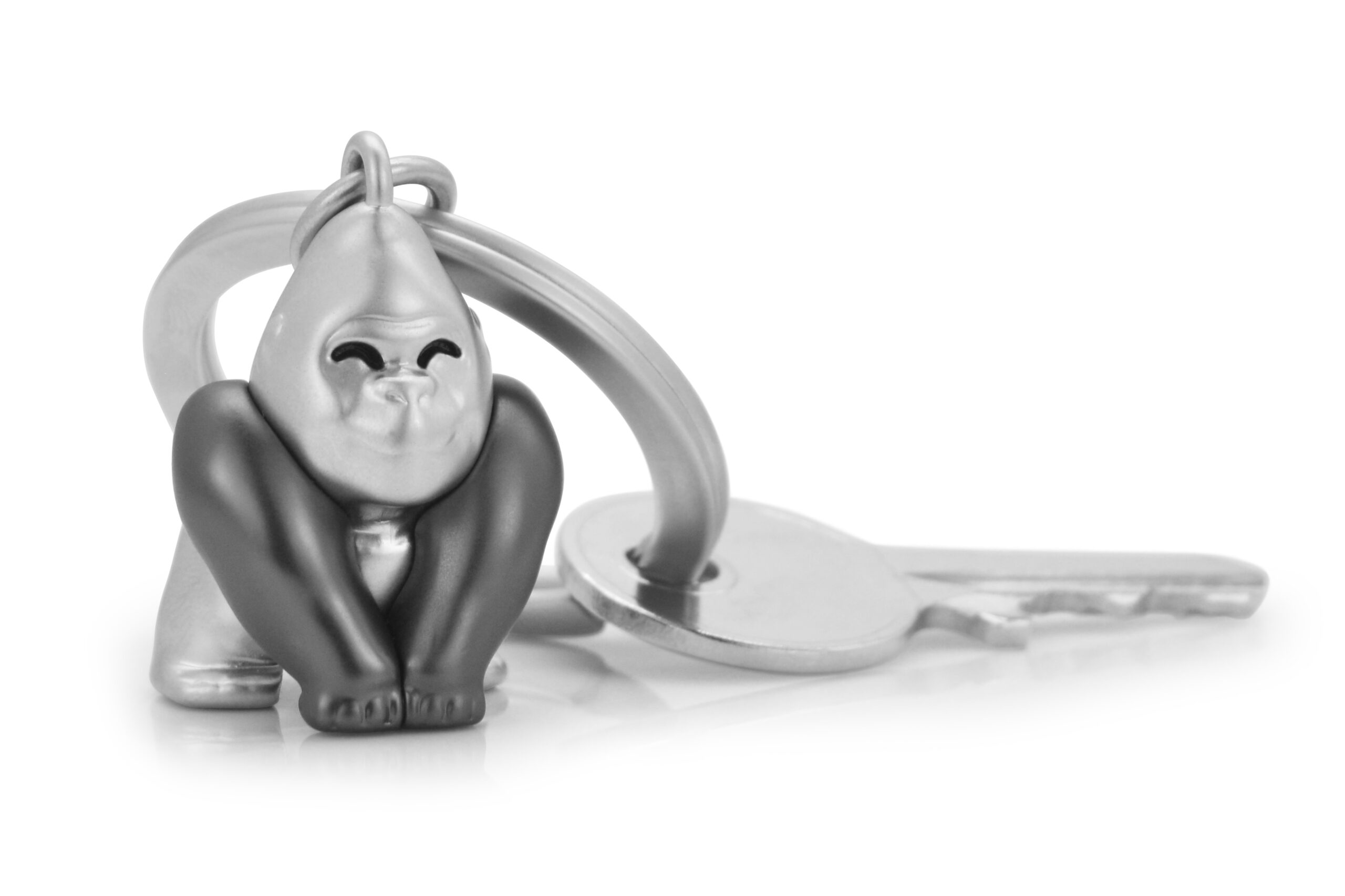 Wildlife Themed Keyring Display - Image 10