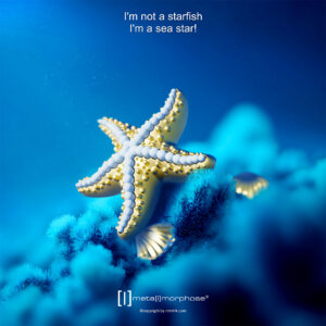 MTM Star Fish Keyring - Image 5