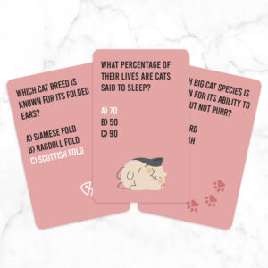 Cat Quiz - Image 2