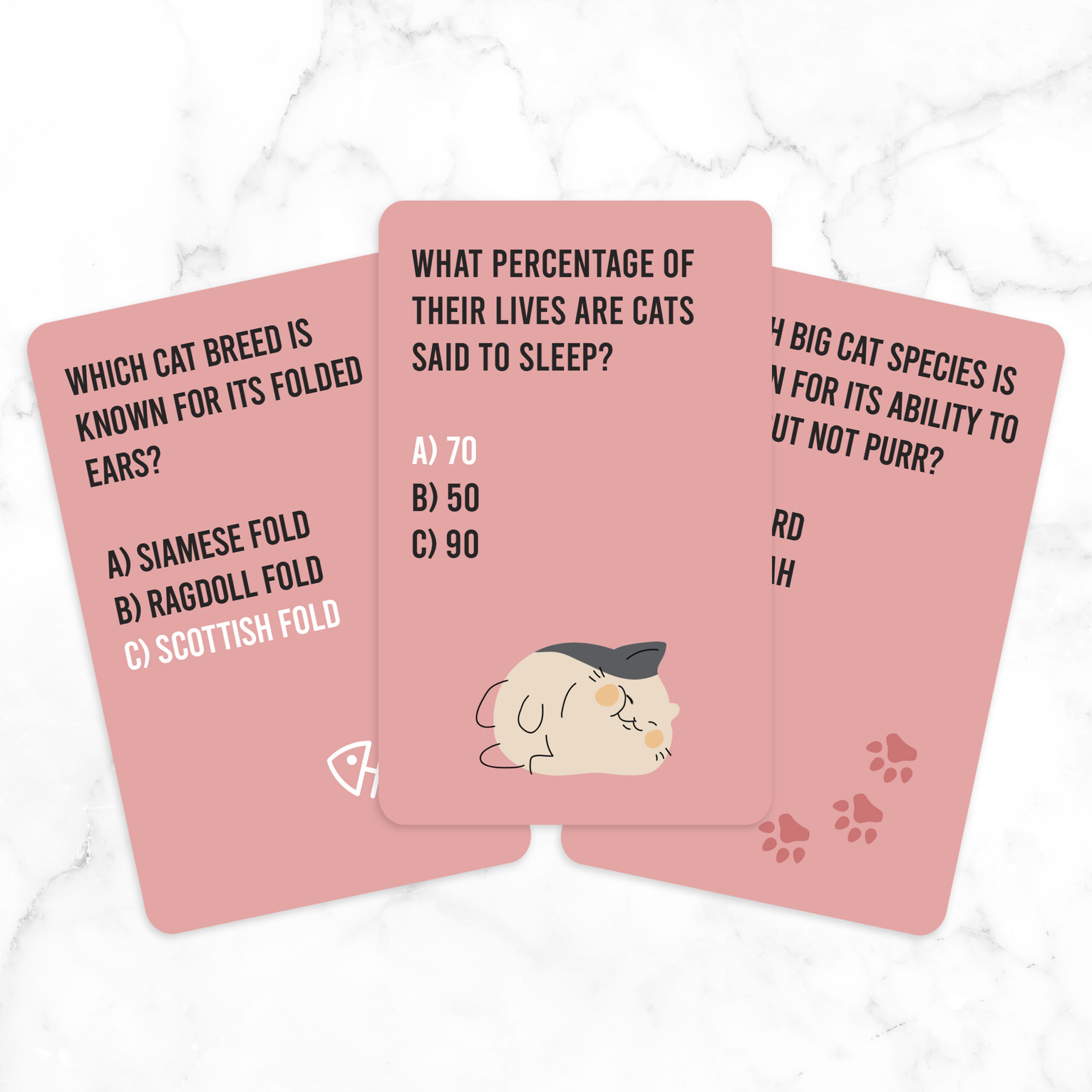 Cat Quiz - Image 2