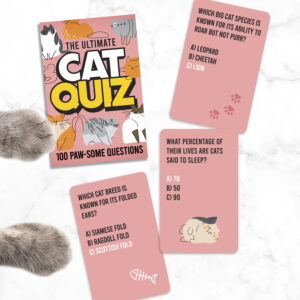 Cat Quiz - Image 3