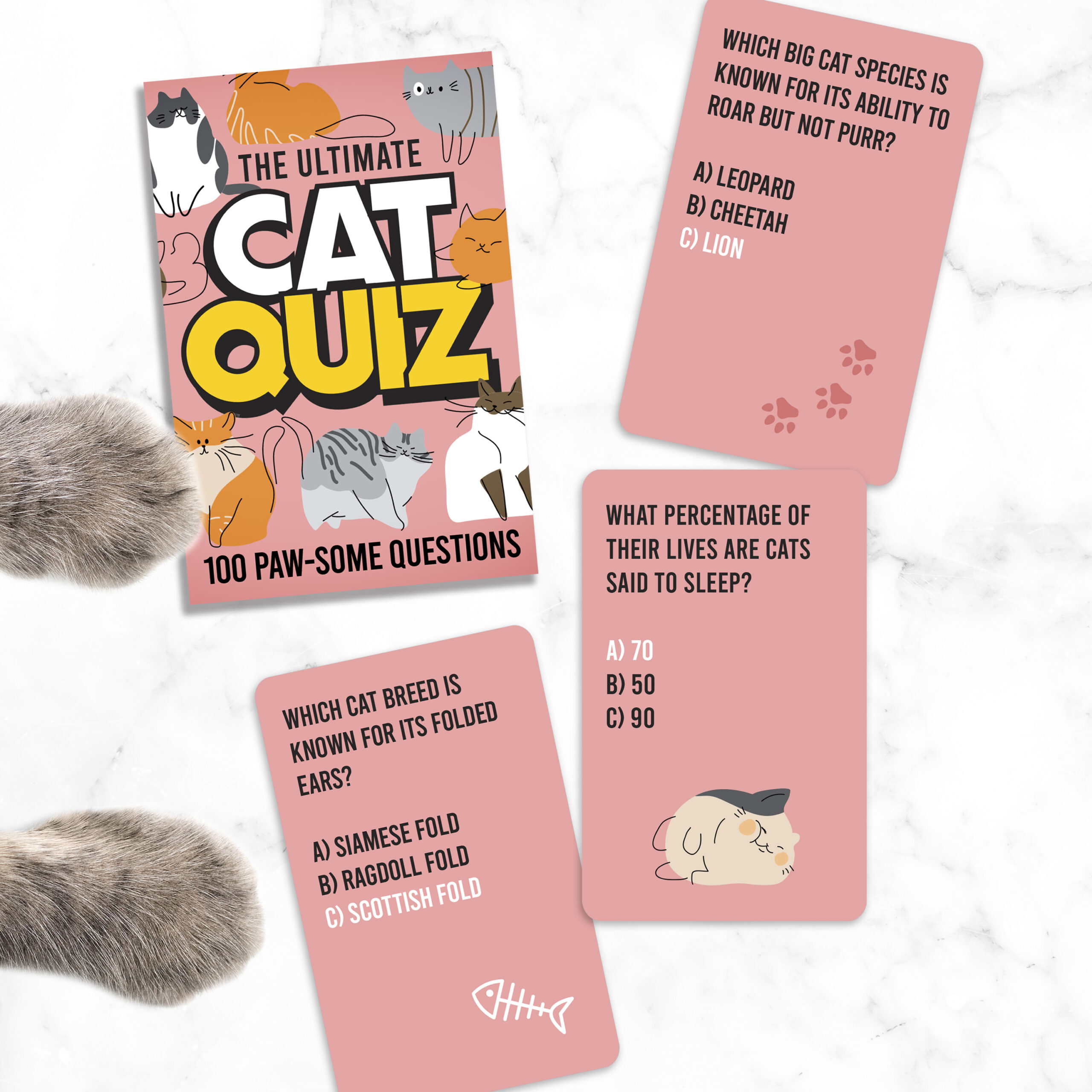 Cat Quiz - Image 3