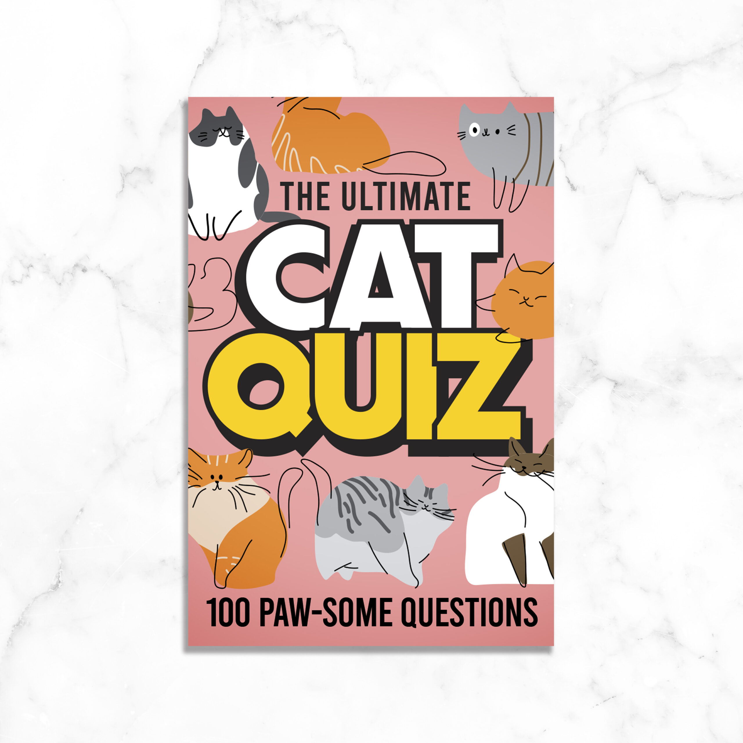 Cat Quiz - Image 4