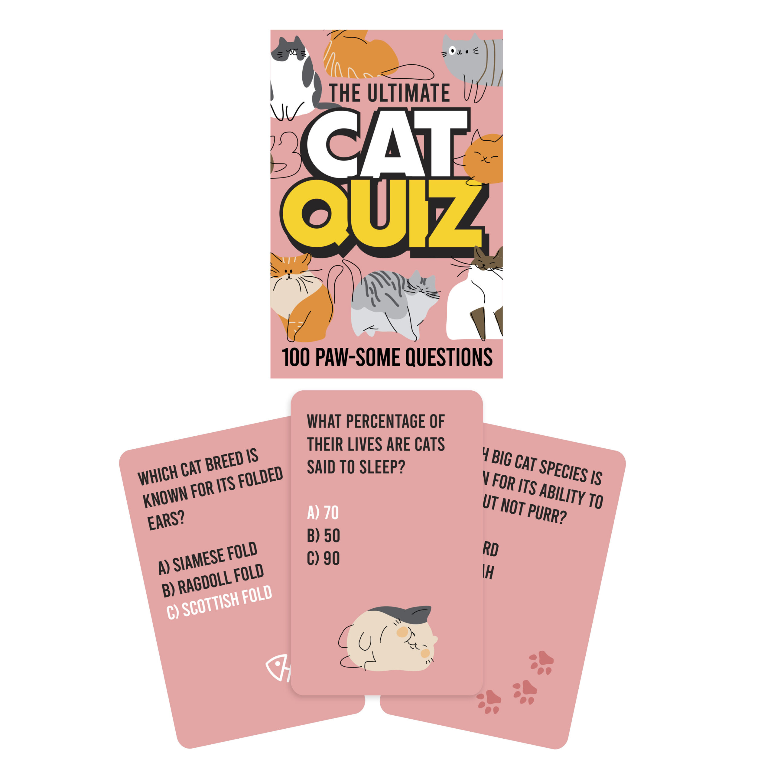 Cat Quiz - Image 5