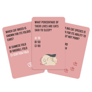 Cat Quiz - Image 6
