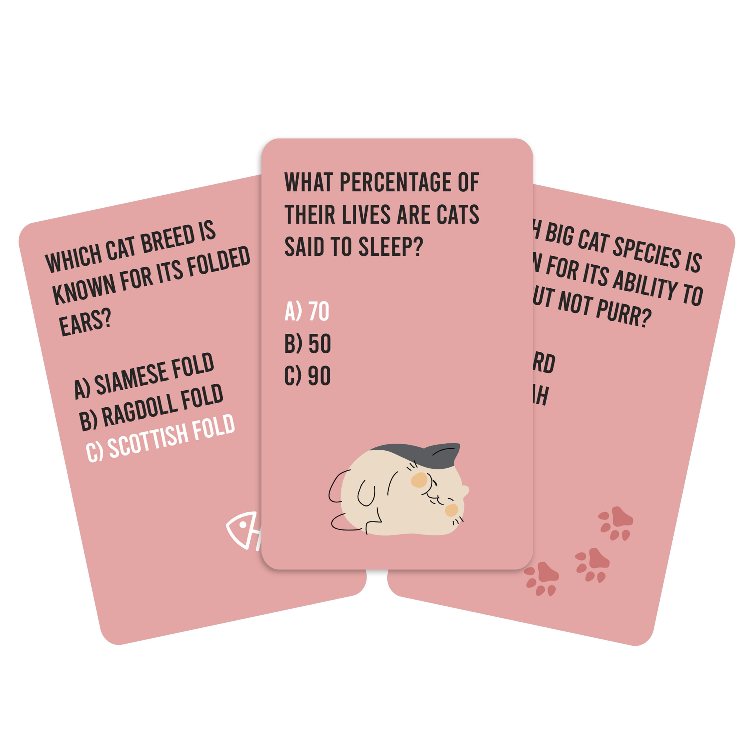 Cat Quiz - Image 6