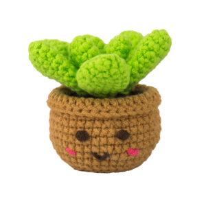 Mini Houseplants Crochet Kit - Image 10