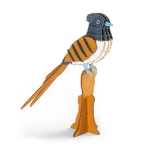 Paradise Flycatcher 3D Puzzle - Image 3