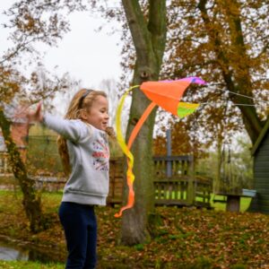 Pocket Kite - Image 4