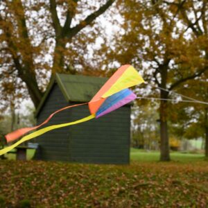 Pocket Kite - Image 5