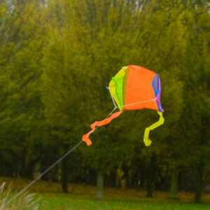 Pocket Kite - Image 6